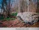 Подборка камней (валунов) Шумилинского района
